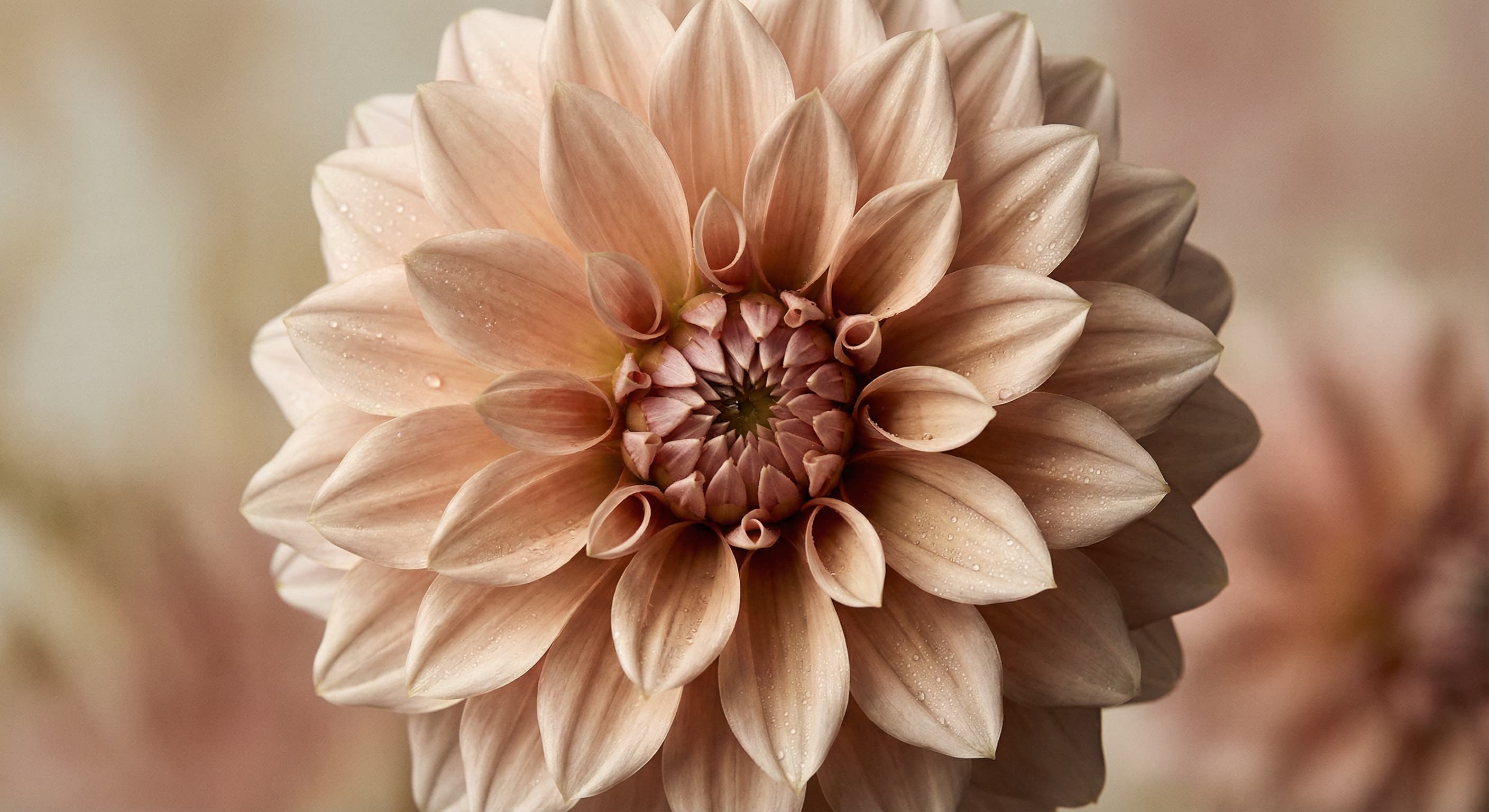 High-Resolution Output